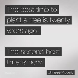 Best Time to Plant a Tree, Chinese Proverb, MikeRaveNow, Mike Raver, follow to wealth